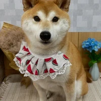 画像1004