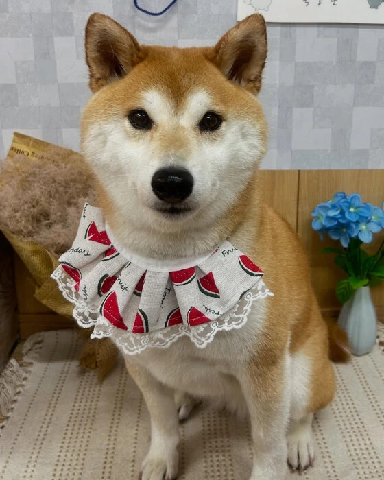画像1004
