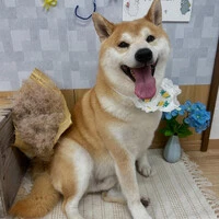 画像1006