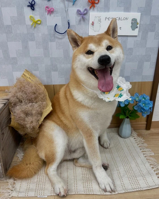 画像1006