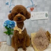 画像1045
