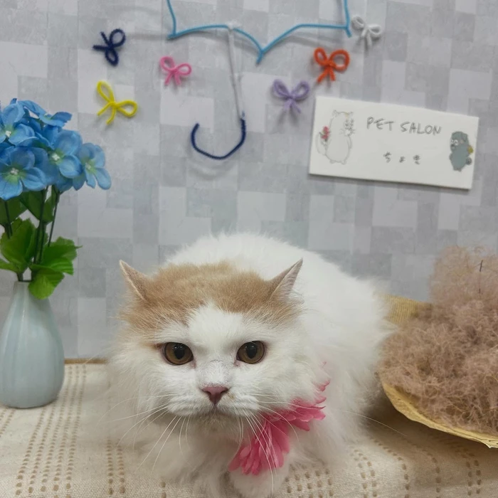 画像1050