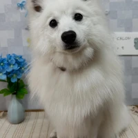 画像1052