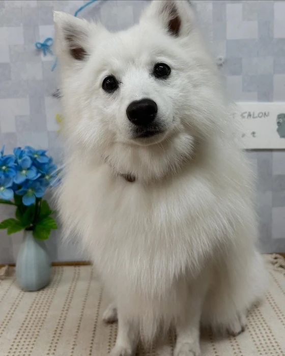 画像1052