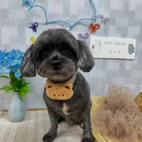 画像1054