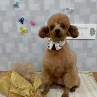 画像1058