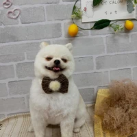 画像1069