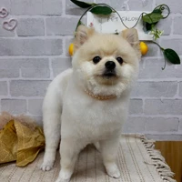 画像1101