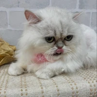 画像1108