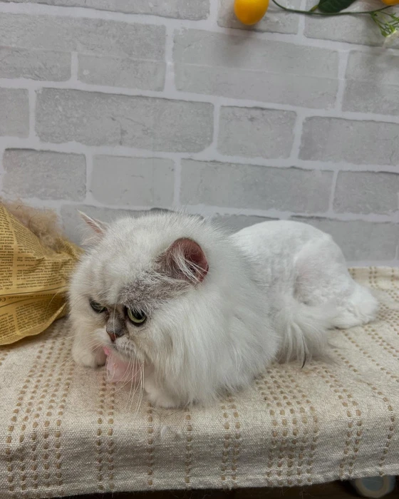 画像1109
