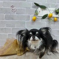 画像1119