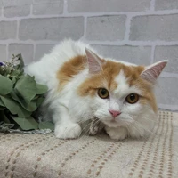 画像1122