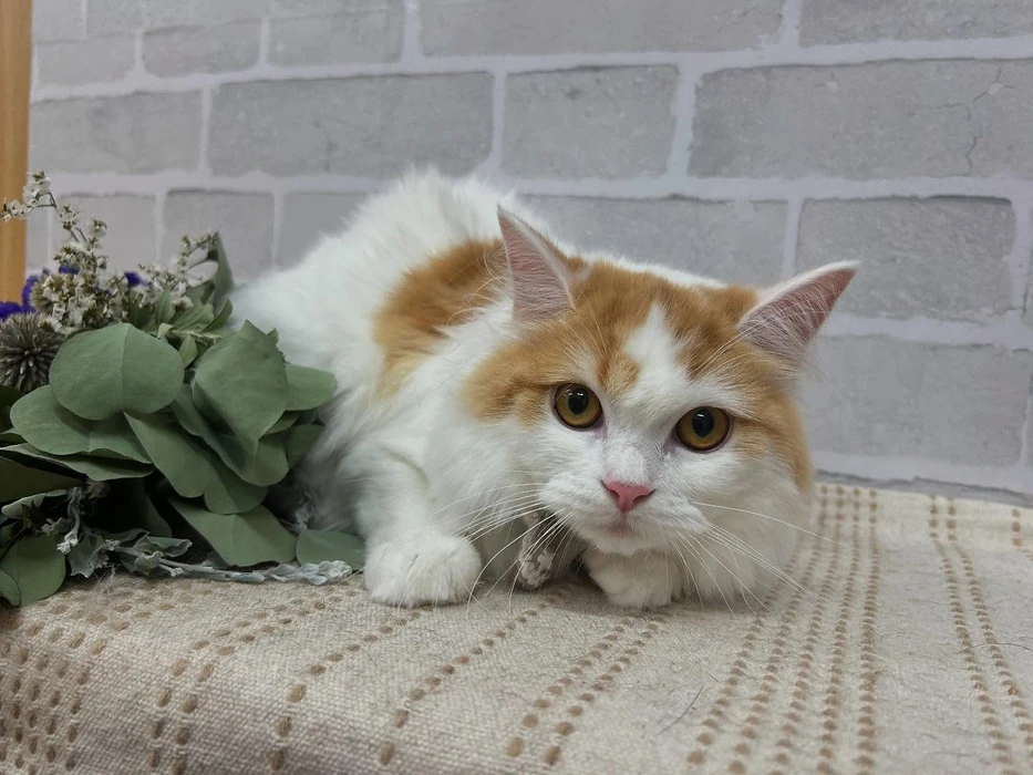 画像1122