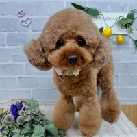画像1129