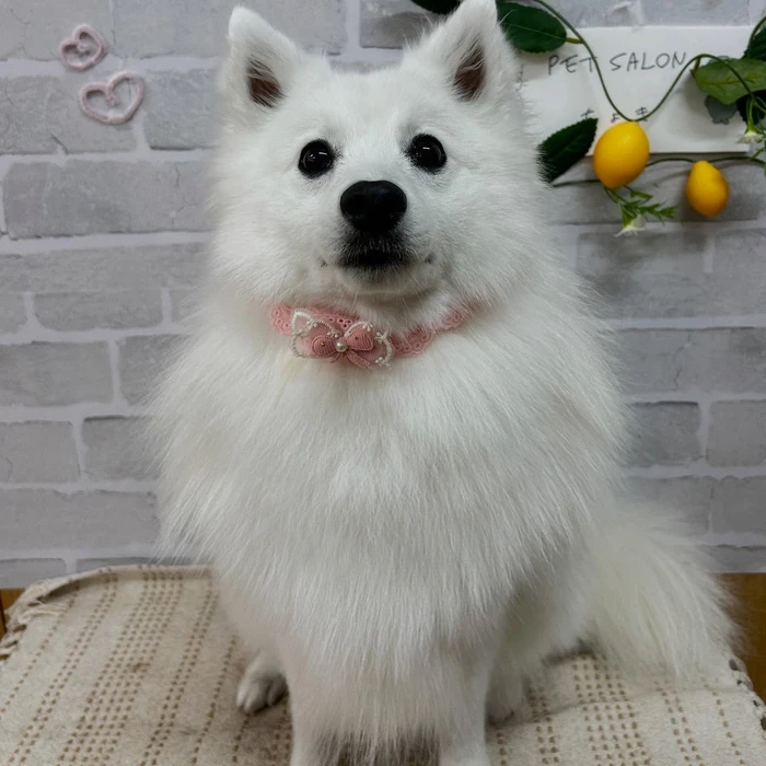 画像1131