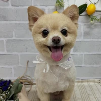 画像1140