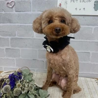 画像1173