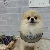 画像1182