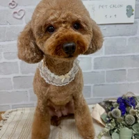 画像1202
