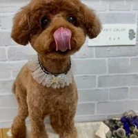 画像1204