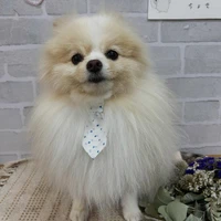 画像1211
