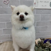 画像1213