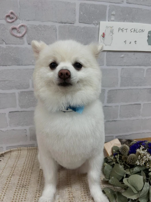 画像1213