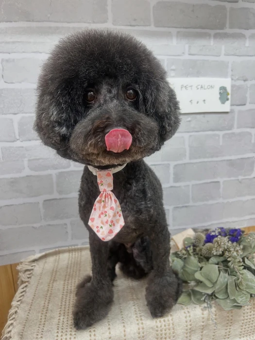 画像1215