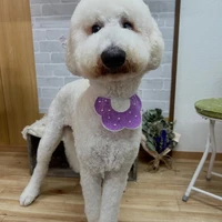 画像1218