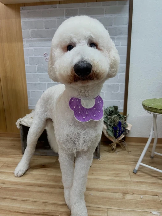 画像1218