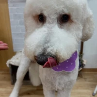 画像1219