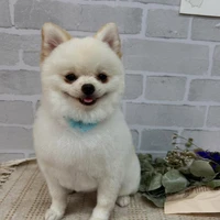 画像1221