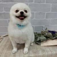 画像1222