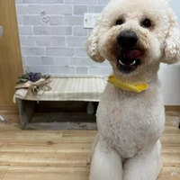 画像1234