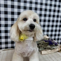 画像1302