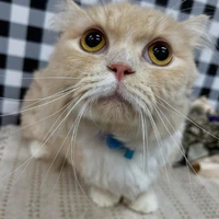 画像1307