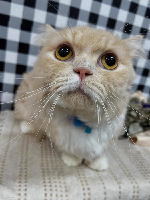 画像1307
