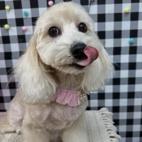 画像1443