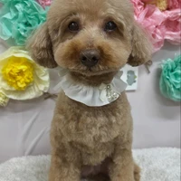 画像1508