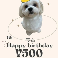 画像1509