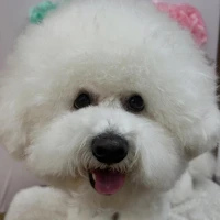 画像1518