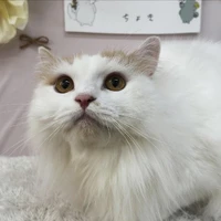 画像1521