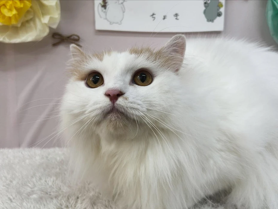画像1521