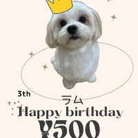 画像1569
