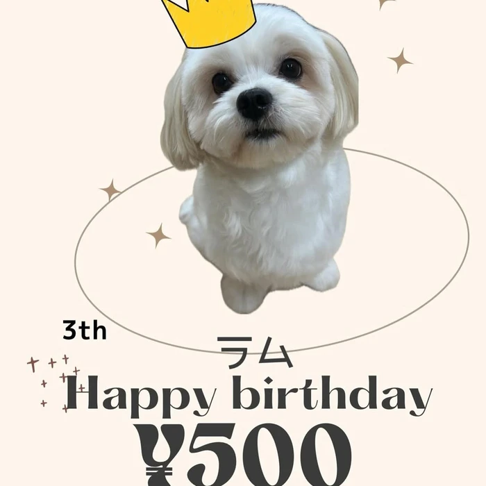 画像1569