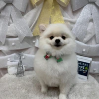 画像1612