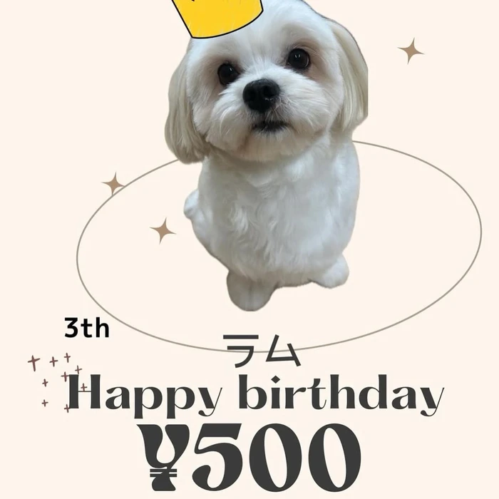 画像1659