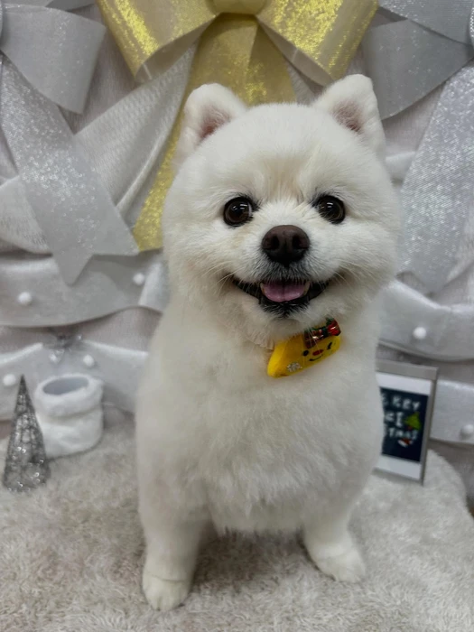 画像1670