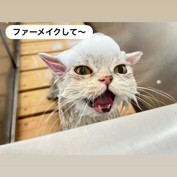 画像1687