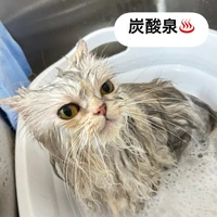 画像1688